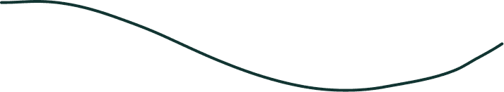 line vector